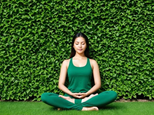 Living Wall Serenity: Urban Green Meditation