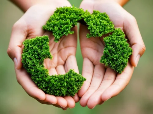 Two open hands holding circular arrow symbols with grass, illustrating food waste recycling and sustainable consumption